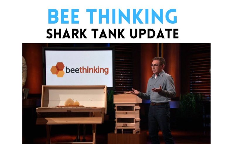 bee thinking shark tank update