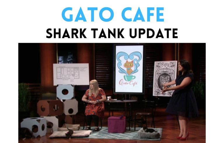 Gato Cafe Shark Tank